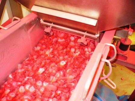 Alimentateur pour fruits lyophyliss