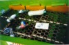 electromechanische triltransporteur en grofzeef